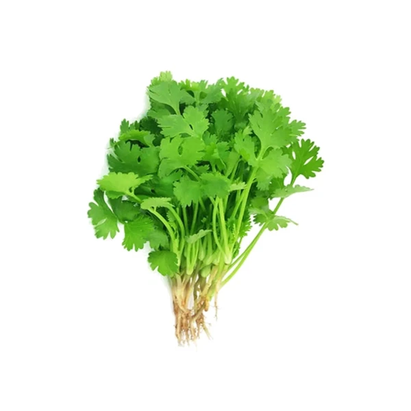 VEGETABLES CILANTRO(LOCAL) .
