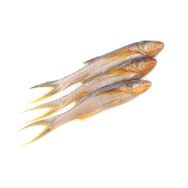 Taposhi Fish