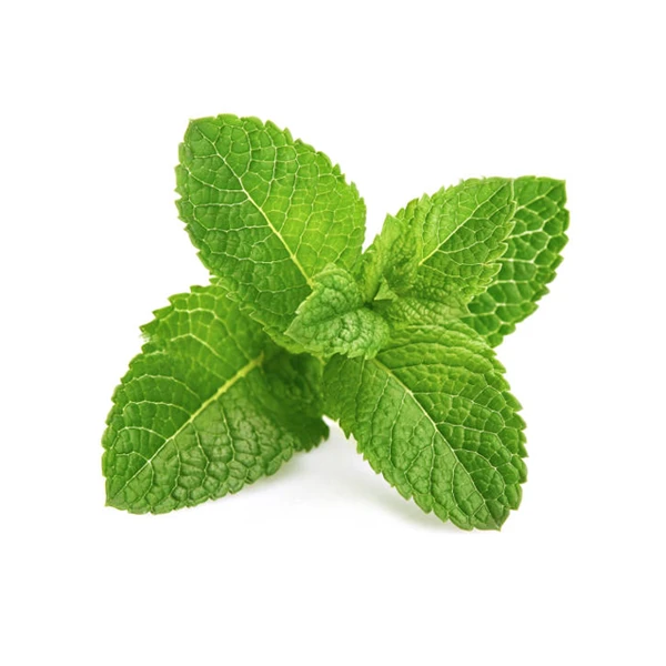 Mint Leaf