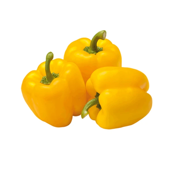 Capsicum Yellow